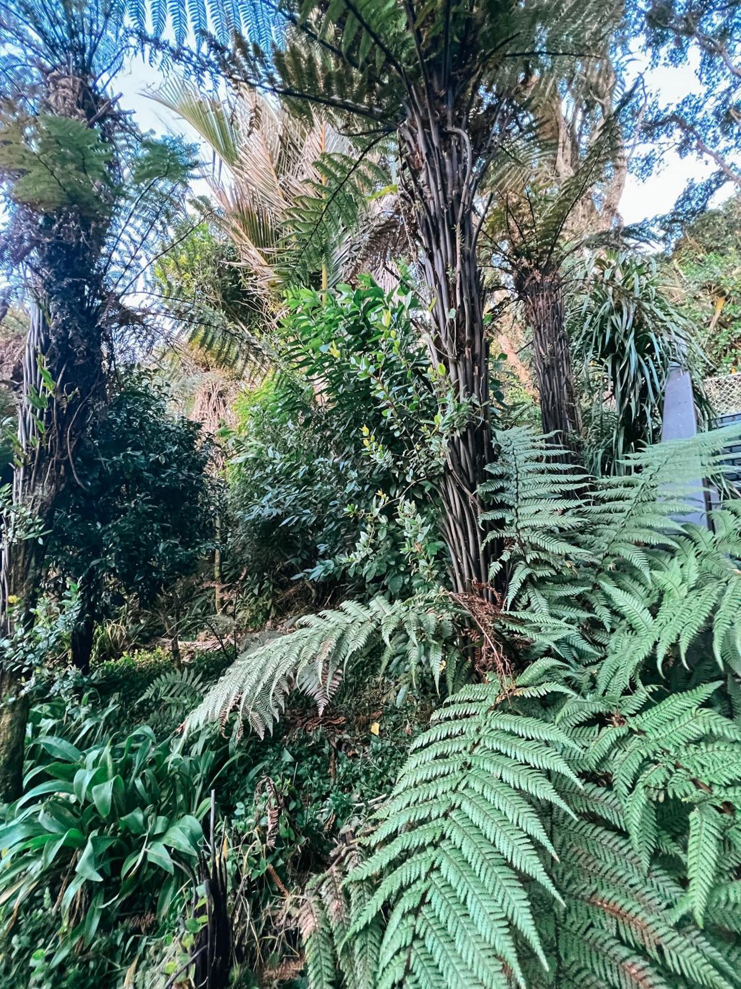 Evergreen Escape Hokitika Ngoại thất bức ảnh